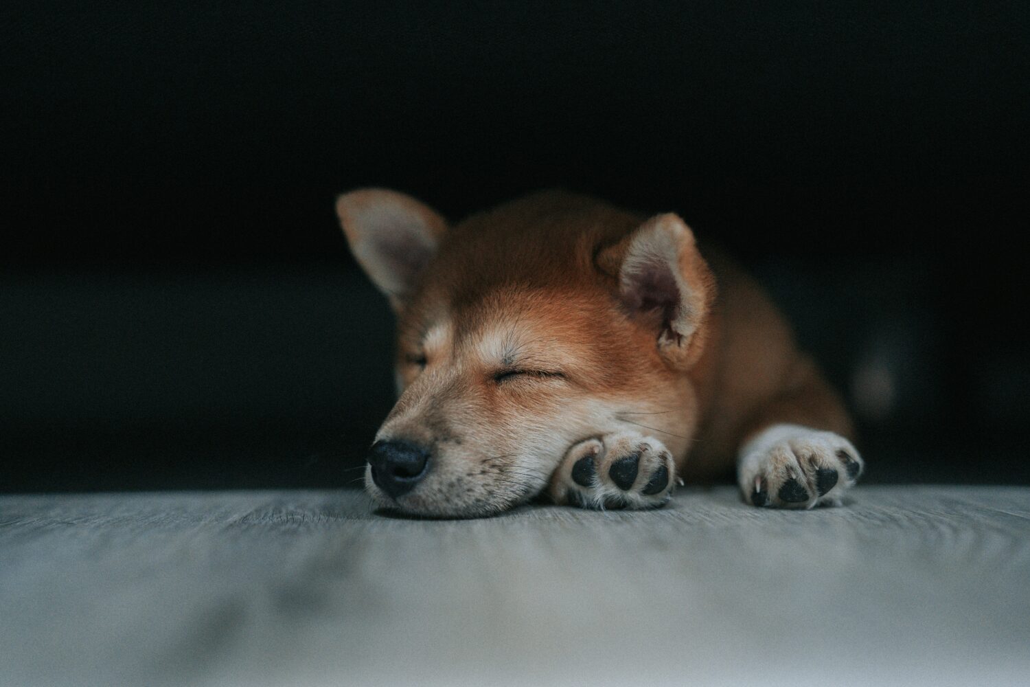 Maak de slapende hond wakker!