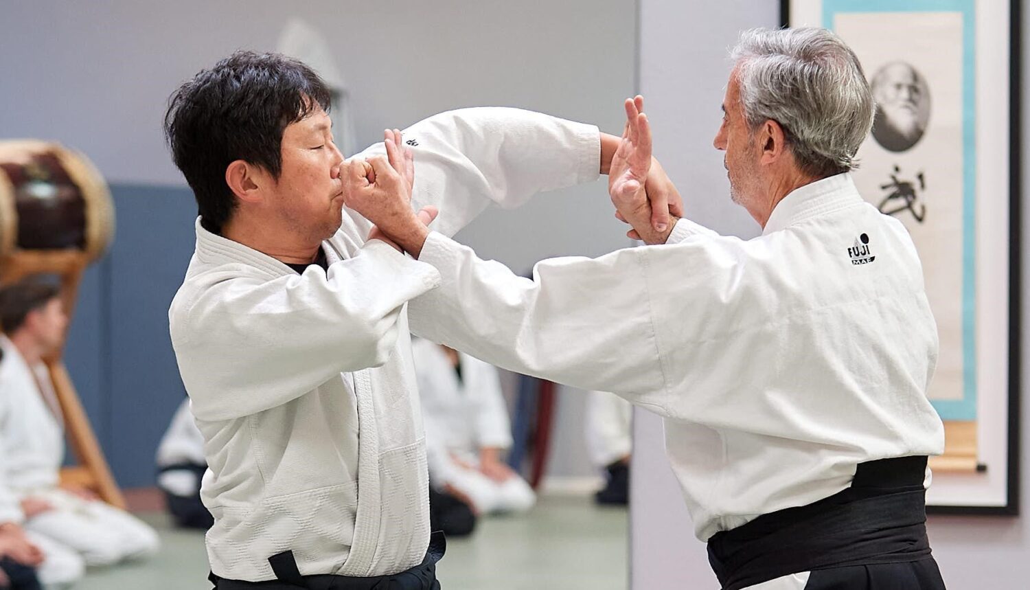 Aikido als de fysieke metafoor voor MGA